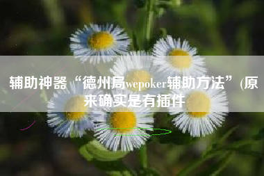 辅助神器“德州局wepoker辅助方法”(原来确实是有插件