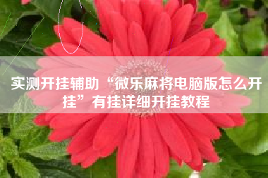 实测开挂辅助“微乐麻将电脑版怎么开挂	”有挂详细开挂教程