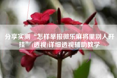 分享实测“怎样举报微乐麻将里别人开挂”(透视)详细透视辅助教学