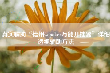 真实辅助“德州wepoker万能开挂器”详细透视辅助方法