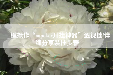 一键操作“aapoker开挂神器	”透视挂!详细分享装挂步骤