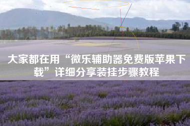 大家都在用“微乐辅助器免费版苹果下载”详细分享装挂步骤教程