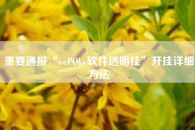 重要通报“wePOke软件透明挂	”开挂详细方法