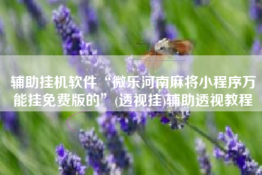 辅助挂机软件“微乐河南麻将小程序万能挂免费版的	”(透视挂)辅助透视教程