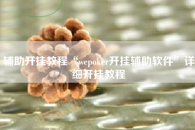 辅助开挂教程“wepoker开挂辅助软件”详细开挂教程