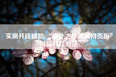 实测开挂辅助:“德扑之星透视网页版”可以开挂方法