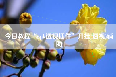 今日教程“wpk透视插件	”开挂(透视)辅助