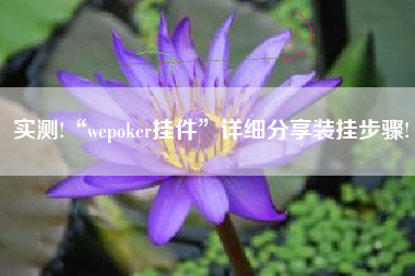 实测!“wepoker挂件”详细分享装挂步骤!