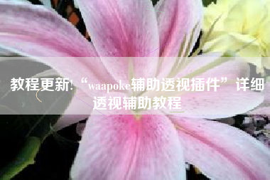 教程更新!“waapoke辅助透视插件”详细透视辅助教程