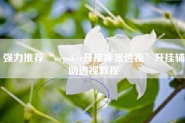 强力推荐“wepoker开挂神器透视	”开挂辅助透视教程