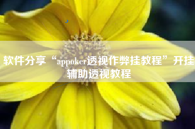 软件分享“appoker透视作弊挂教程	”开挂辅助透视教程