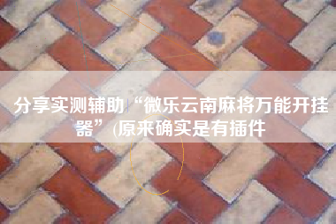 分享实测辅助“微乐云南麻将万能开挂器”(原来确实是有插件