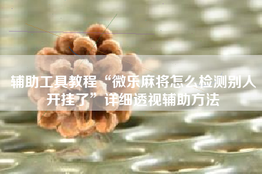 辅助工具教程“微乐麻将怎么检测别人开挂了	”详细透视辅助方法