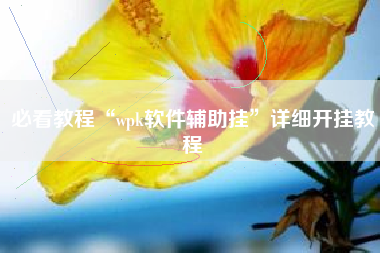 必看教程“wpk软件辅助挂”详细开挂教程