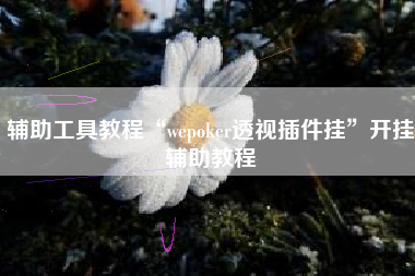 辅助工具教程“wepoker透视插件挂”开挂辅助教程