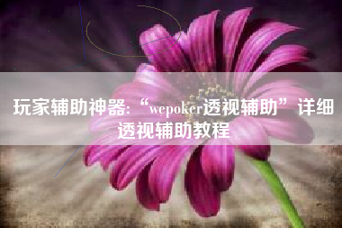 玩家辅助神器:“wepoker透视辅助	”详细透视辅助教程