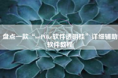 盘点一款“wePOke软件透明挂	”详细辅助软件教程