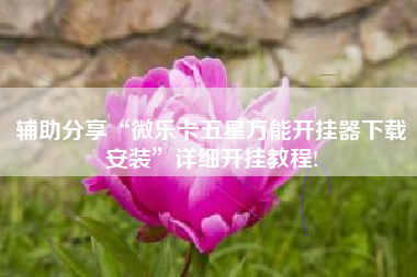 辅助分享“微乐卡五星万能开挂器下载安装”详细开挂教程!