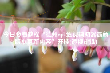 今日必看教程“德州wpk透视辅助器最新版本更新内容”开挂(透视)辅助