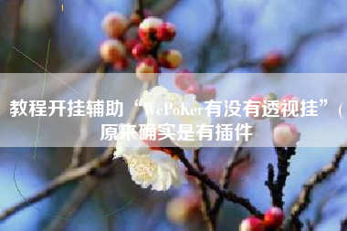 教程开挂辅助“WePoKer有没有透视挂”(原来确实是有插件
