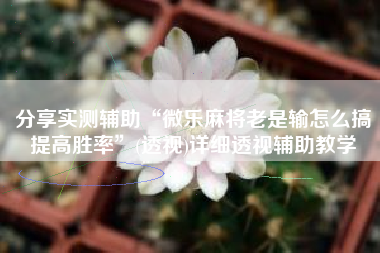 分享实测辅助“微乐麻将老是输怎么搞提高胜率”(透视)详细透视辅助教学