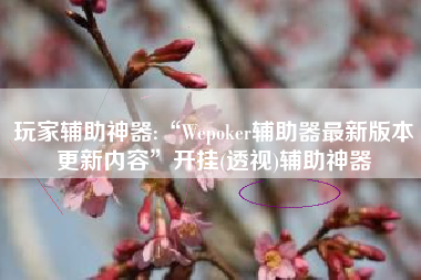 玩家辅助神器:“Wepoker辅助器最新版本更新内容”开挂(透视)辅助神器