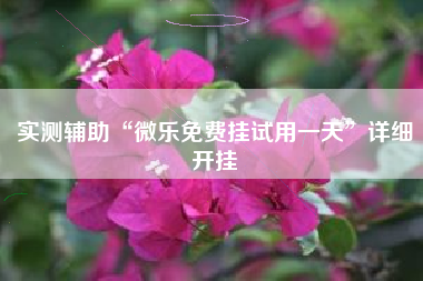 实测辅助“微乐免费挂试用一天	”详细开挂