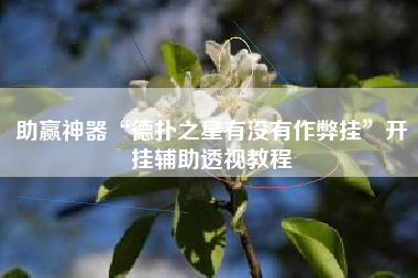 助赢神器“德扑之星有没有作弊挂	”开挂辅助透视教程