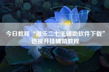 今日教程“微乐二七王辅助软件下载”透视开挂辅助教程