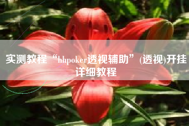 实测教程“hhpoker透视辅助	”(透视)开挂详细教程