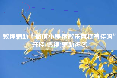 教程辅助“微信小程序微乐麻将有挂吗”开挂(透视)辅助神器
