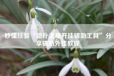 秒懂经验“德扑之星开挂辅助工具”分享辅助外挂教程