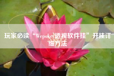 玩家必读“Wepoker透视软件挂”开挂详细方法