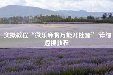 实操教程“微乐麻将万能开挂器	”(详细透视教程)