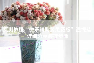 实测教程“微乐辅助器免费版	”透视挂!详细分享装挂步骤