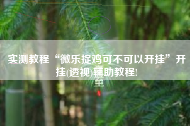 实测教程“微乐捉鸡可不可以开挂	”开挂(透视)辅助教程!