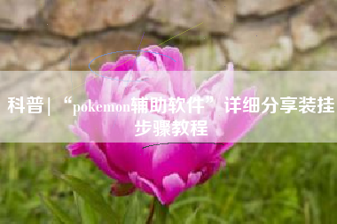 科普|“pokemon辅助软件	”详细分享装挂步骤教程