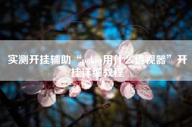 实测开挂辅助“poker用什么透视器”开挂详细教程