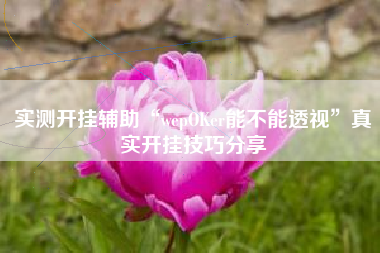 实测开挂辅助“wepOKer能不能透视	”真实开挂技巧分享