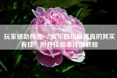 玩家辅助神器:“微乐四川麻将真的其实有挂	”附开挂脚本详细教程