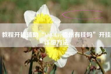 教程开挂辅助“hhpoker德州有挂吗	”开挂详细方法