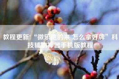 教程更新!“微乐跑的来 怎么拿好牌	”科技辅助神器手机版教程