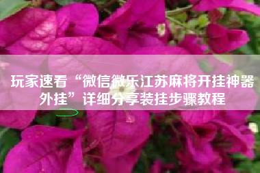 玩家速看“微信微乐江苏麻将开挂神器外挂”详细分享装挂步骤教程