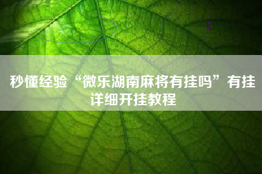 秒懂经验“微乐湖南麻将有挂吗”有挂详细开挂教程