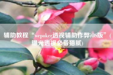 辅助教程“wepoker透视辅助作弊iOS版”(曝光透视必备猫腻)