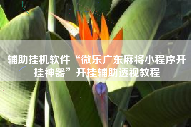 辅助挂机软件“微乐广东麻将小程序开挂神器”开挂辅助透视教程