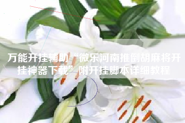 万能开挂辅助“微乐河南推倒胡麻将开挂神器下载”附开挂脚本详细教程