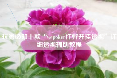 玩家必知十款“wepoker作弊开挂透视”详细透视辅助教程