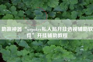 助赢神器“wepoker私人局开挂透视辅助软件”开挂辅助教程
