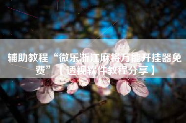 辅助教程“微乐浙江麻将万能开挂器免费	”【透视软件教程分享】